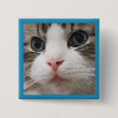 Search for ragdoll accessories Blue eyes