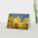 Search for hello spring cards Photography