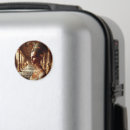 Search for artefacts magnets Statue