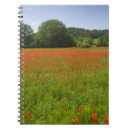 Search for field notebooks Italy