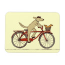 Search for cycling magnets Biking
