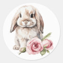 Search for pink bunny ears stickers Rabbit