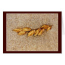 Search for oats cards Ocean