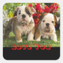 Search for love greeting stickers Puppies