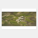 Search for shrubs stickers Garden