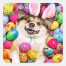 Search for funny bunny stickers Dog
