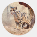 Search for leopard spots stickers Exotic