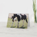 Search for filly cards Pony