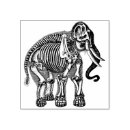 Search for bones rubber stamps Halloween