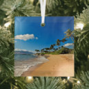 Search for coconut christmas tree decorations Hawaii