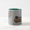 Search for mallard duck mugs Photography