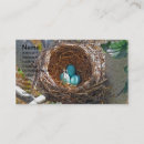 Search for nest business cards Robin