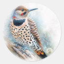 Search for flickers stickers Wildlife
