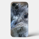 Search for beak cases Feather