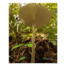 Search for slender art Woods