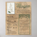 Search for witches herb posters Pagan