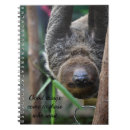 Search for zoo notebooks Sloth