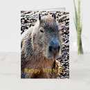 Search for rodent cards South america