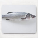 Search for whole mouse mats Animal
