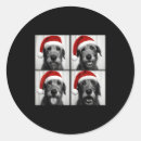 Search for funny dog stickers Lover