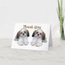 Search for shih tzu cards Puppy