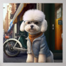 Search for bichon frise art Cute