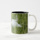 Search for tall grass mugs Nature