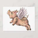 Search for flying pig postcards Cute