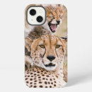 Search for cubs iphone cases Animals in the wild