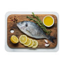 Search for fish magnets Foodie