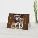 Search for cool halloween cards Funny