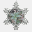 Search for succulents christmas tree decorations Greenery