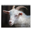 Search for goat calendars Cute