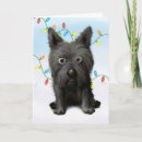 Search for cairn terrier christmas cards Terriers