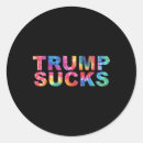 Search for social justice stickers Make america great again