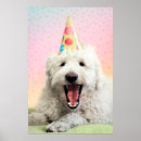 Search for large breed posters Puppy