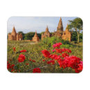 Search for burma magnets Steve roxbury
