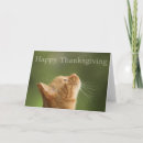 Search for cat thanksgiving cards Kitty