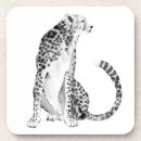 Search for feline coasters Wildlife