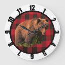 Search for bear clocks Wildlife