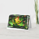 Search for succulent cards Photography