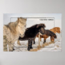 Search for iceland posters Winter landscape
