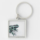 Search for risks key rings Horizontal