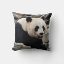 Search for giant panda cushions Wildlife photos