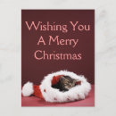 Search for full colour cards Photography