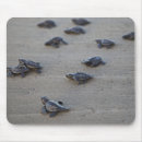 Search for central america mouse mats El salvador