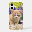 Search for funny cat picture iphone cases Animal