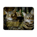 Search for unique cat magnets Quotes