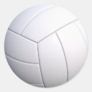 Search for fun volleyball stickers Sports