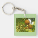 Search for lemon tree key rings White